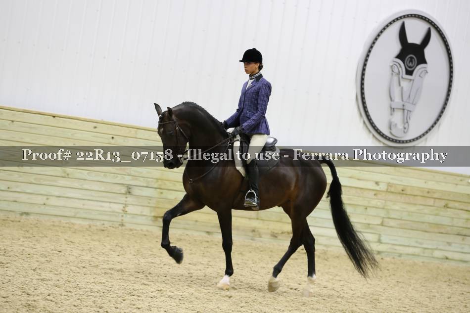 Proof 22R13_07158