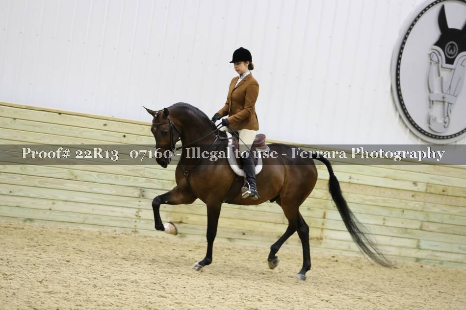 Proof 22R13_07160