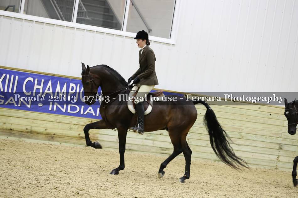 Proof 22R13_07163