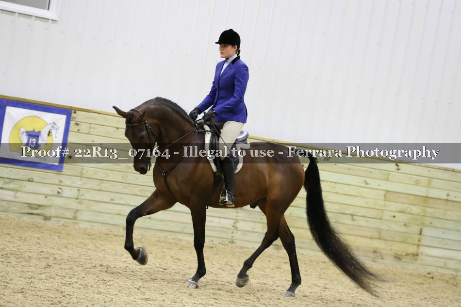 Proof 22R13_07164