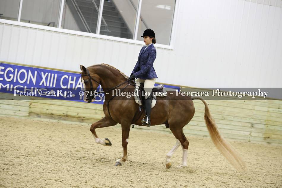 Proof 22R13_07165