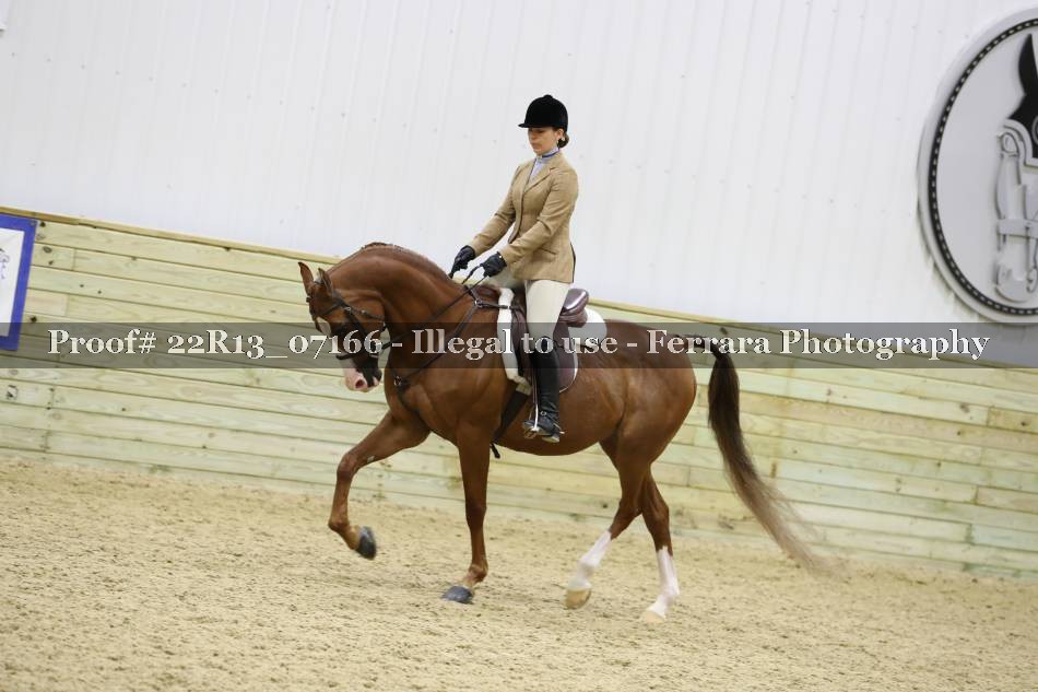 Proof 22R13_07166