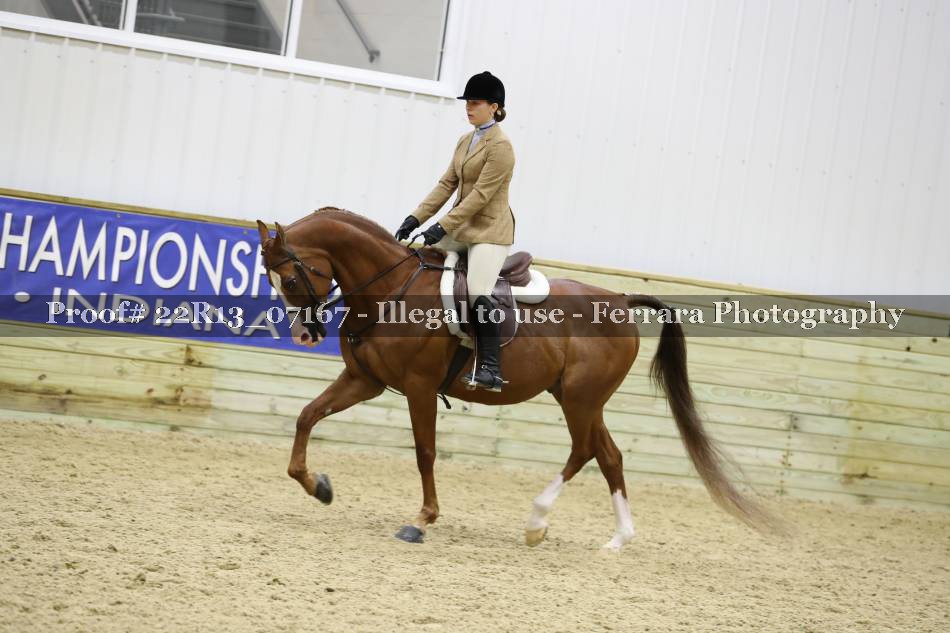 Proof 22R13_07167