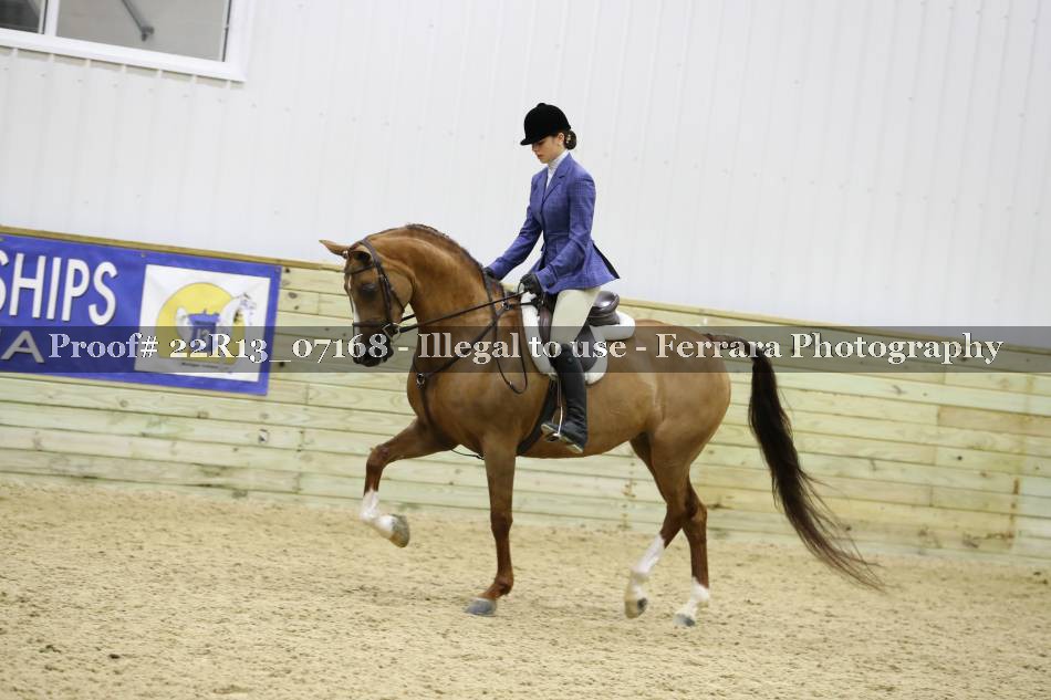 Proof 22R13_07168