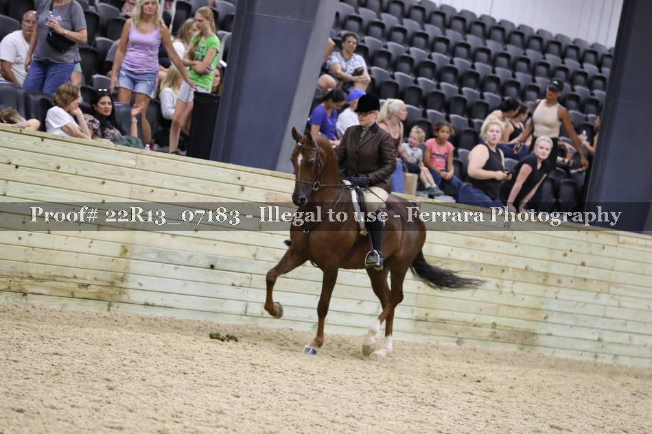 Proof 22R13_07183