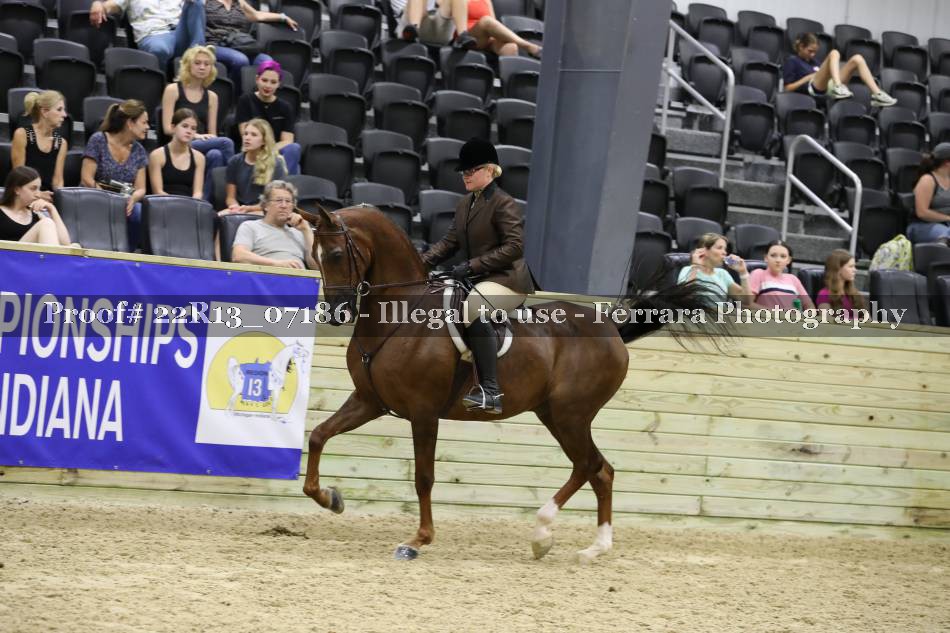 Proof 22R13_07186
