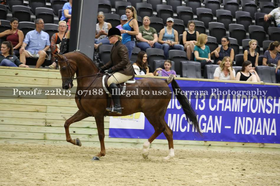 Proof 22R13_07188