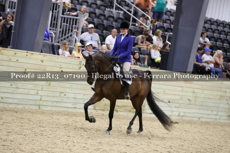 Proof 22R13_07190