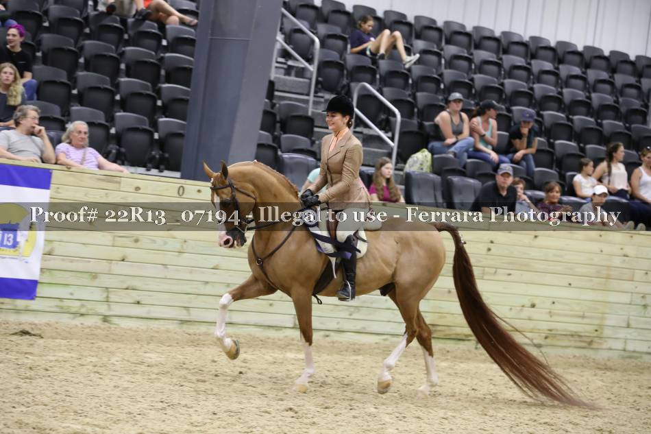 Proof 22R13_07194