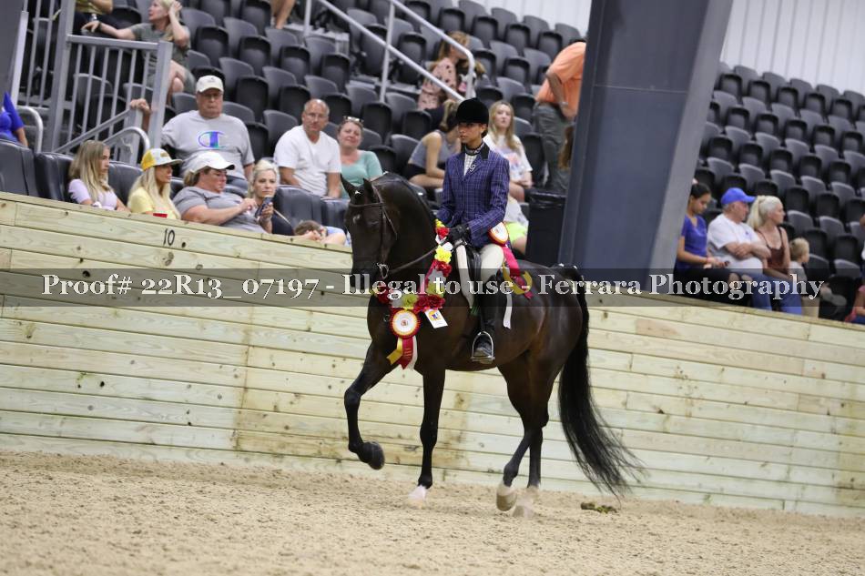 Proof 22R13_07197