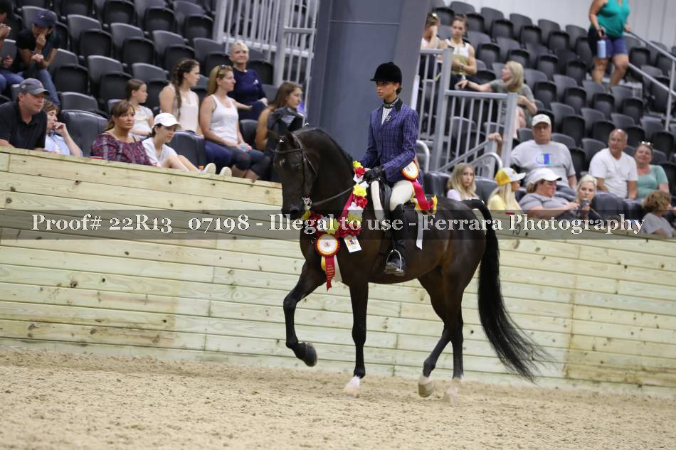 Proof 22R13_07198
