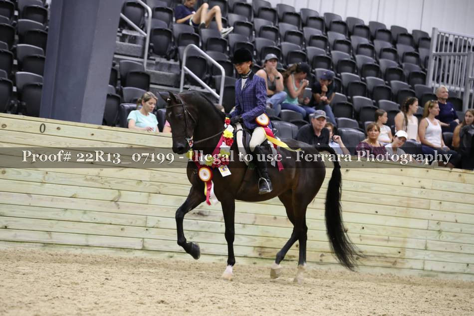 Proof 22R13_07199