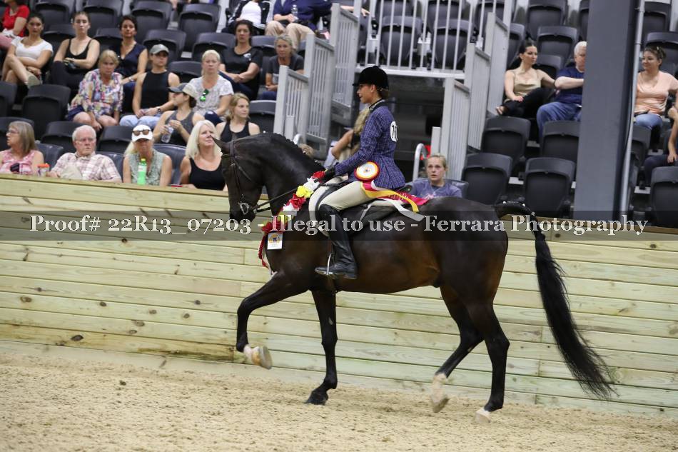 Proof 22R13_07203