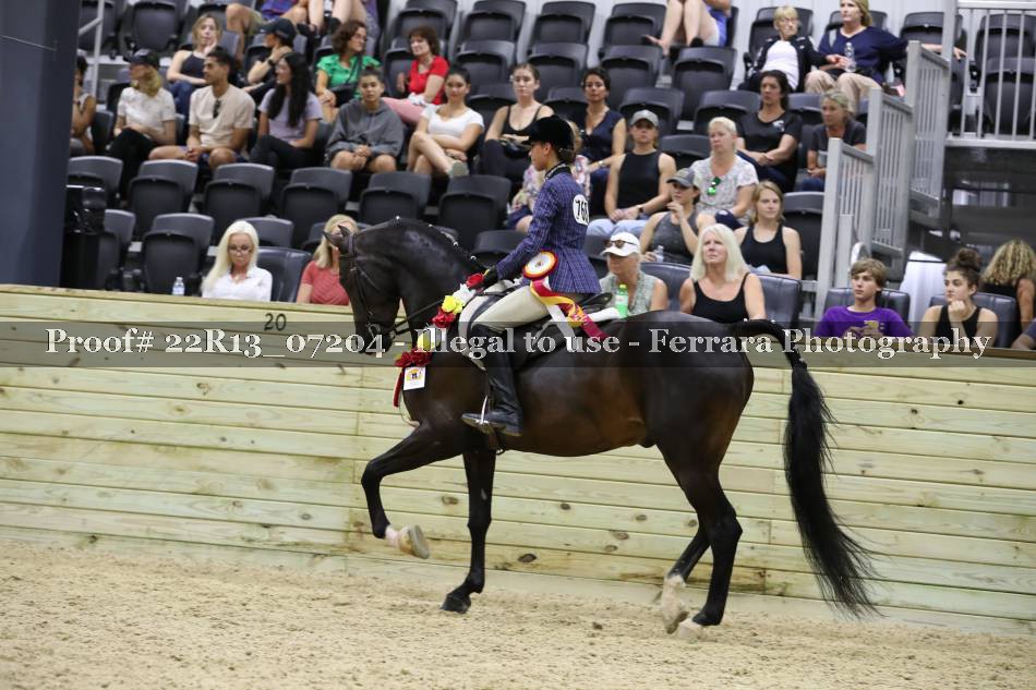 Proof 22R13_07204