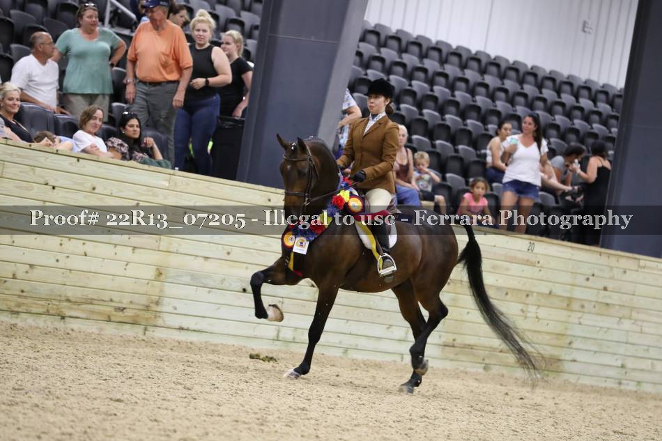 Proof 22R13_07205