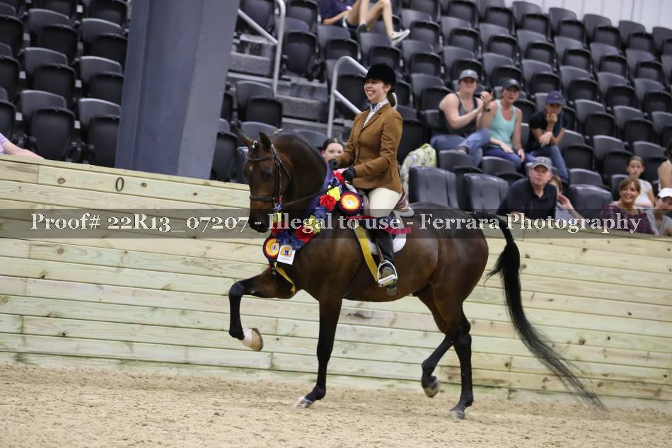 Proof 22R13_07207
