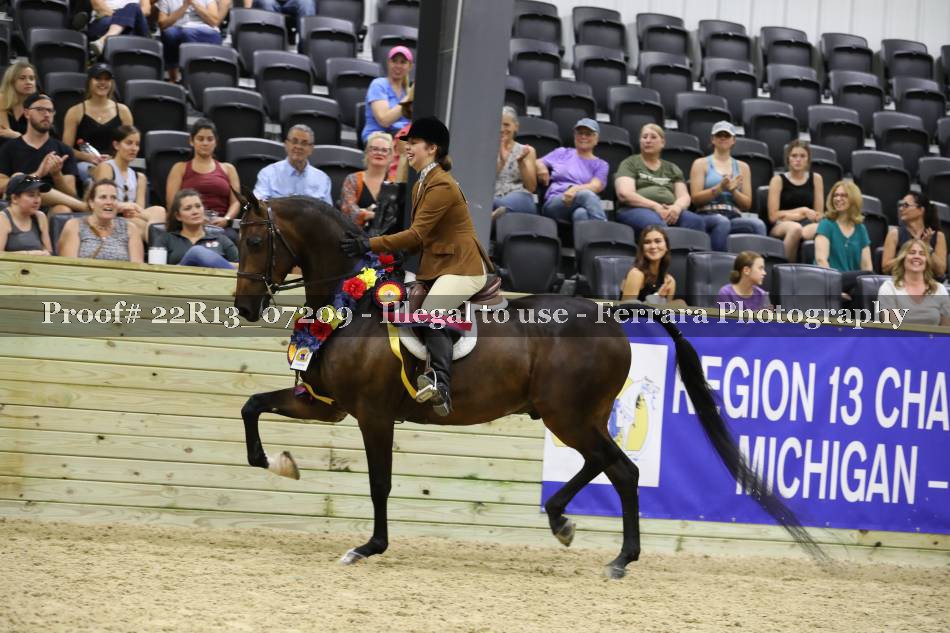Proof 22R13_07209
