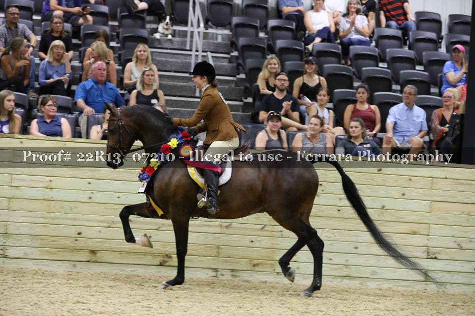 Proof 22R13_07210