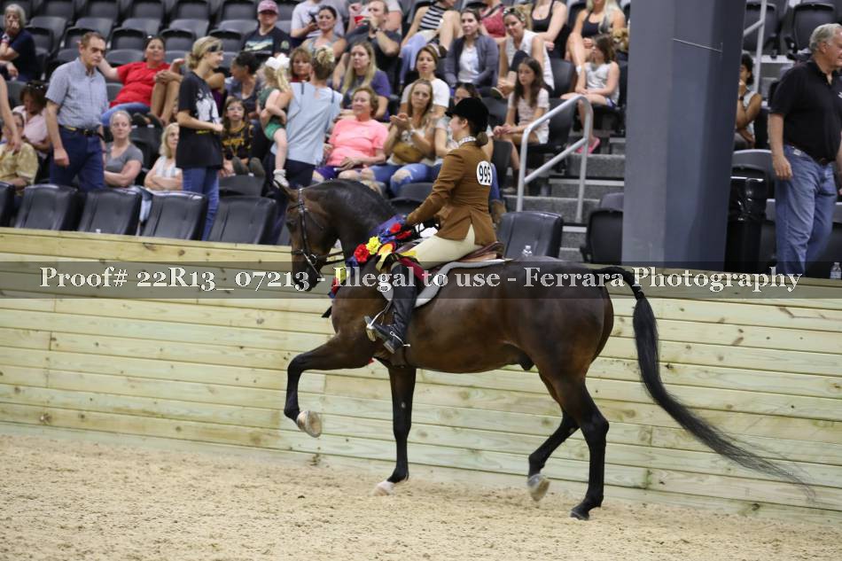 Proof 22R13_07213