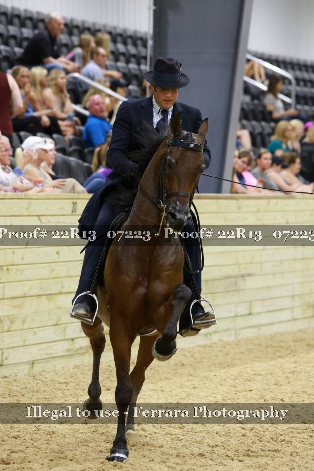 Proof 22R13_07223