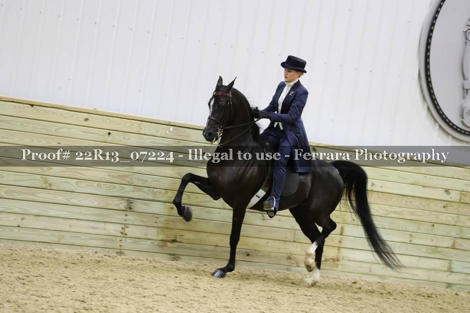 Proof 22R13_07224