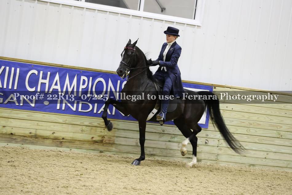 Proof 22R13_07225