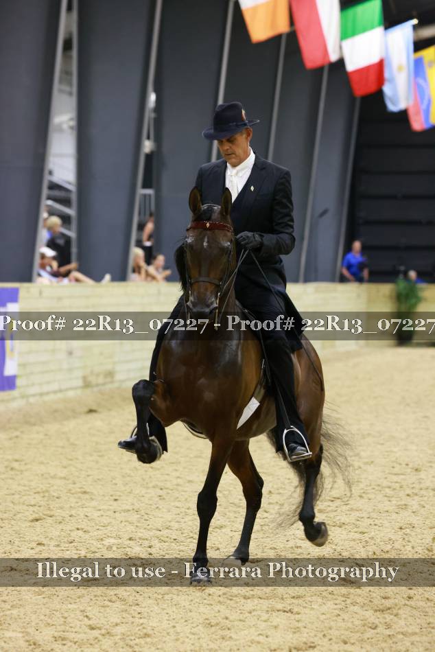 Proof 22R13_07227