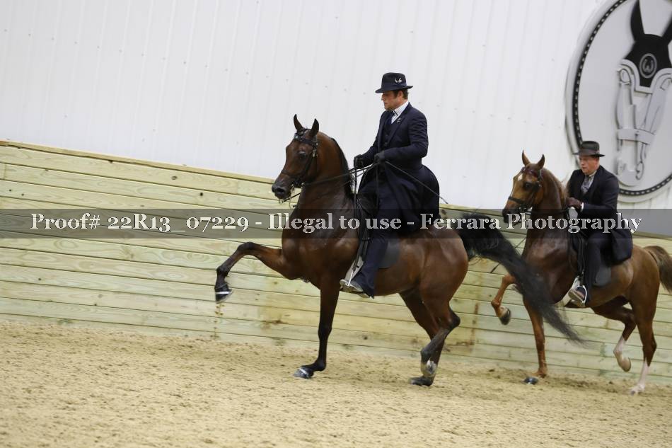 Proof 22R13_07229