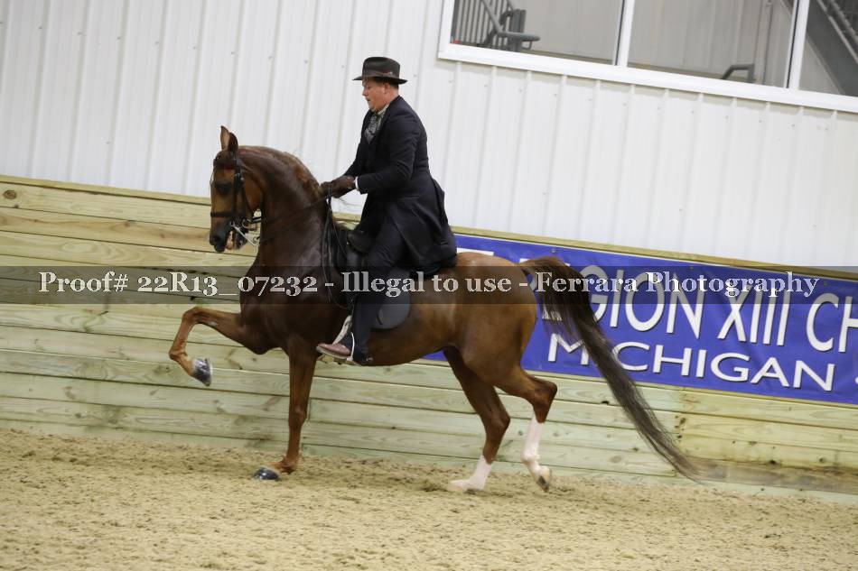 Proof 22R13_07232