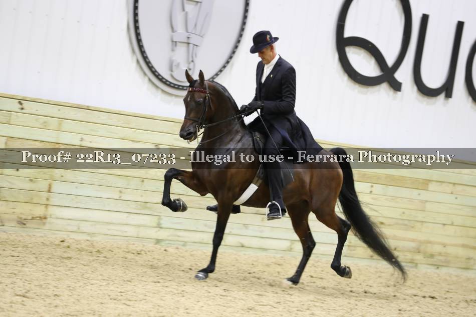 Proof 22R13_07233