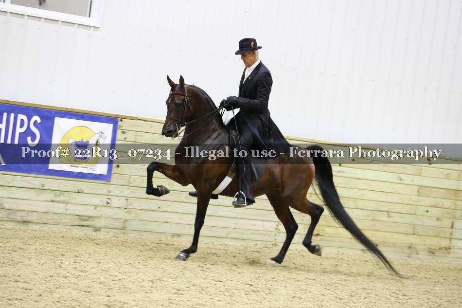Proof 22R13_07234