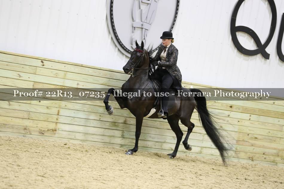Proof 22R13_07235