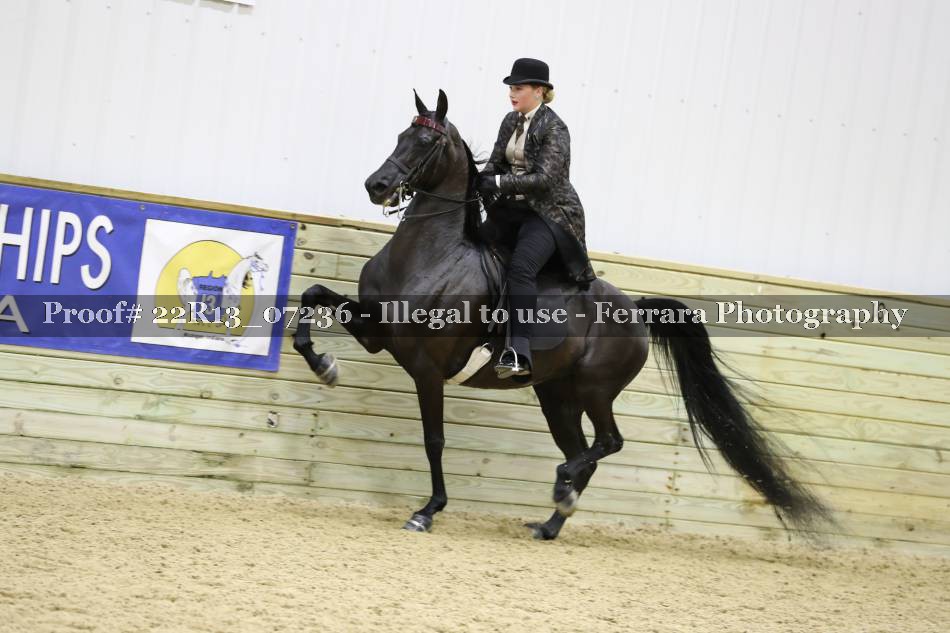 Proof 22R13_07236