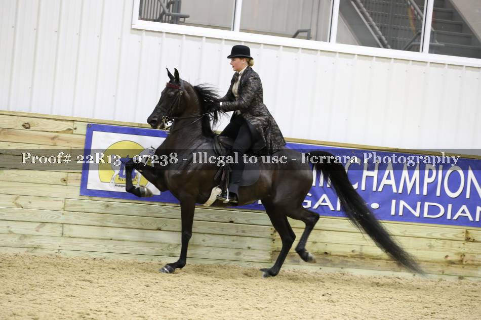Proof 22R13_07238
