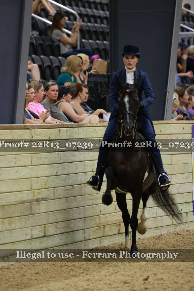 Proof 22R13_07239