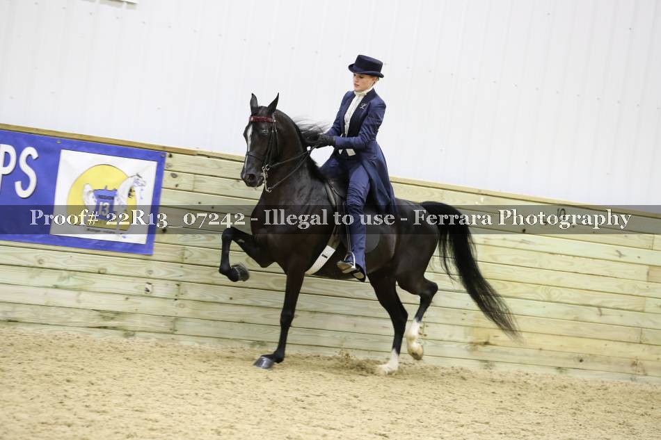Proof 22R13_07242