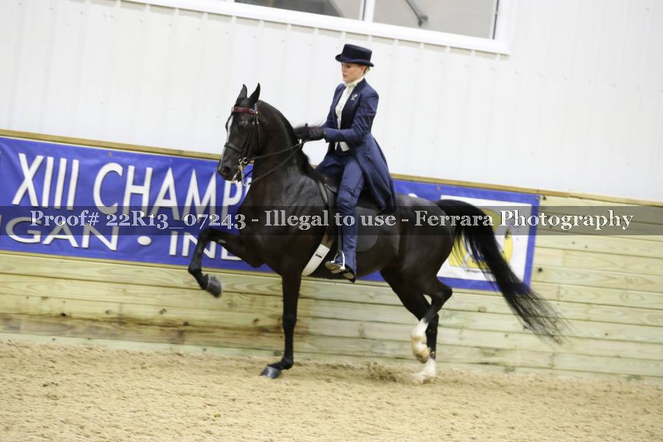 Proof 22R13_07243