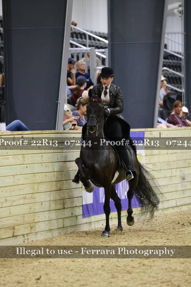 Proof 22R13_07244