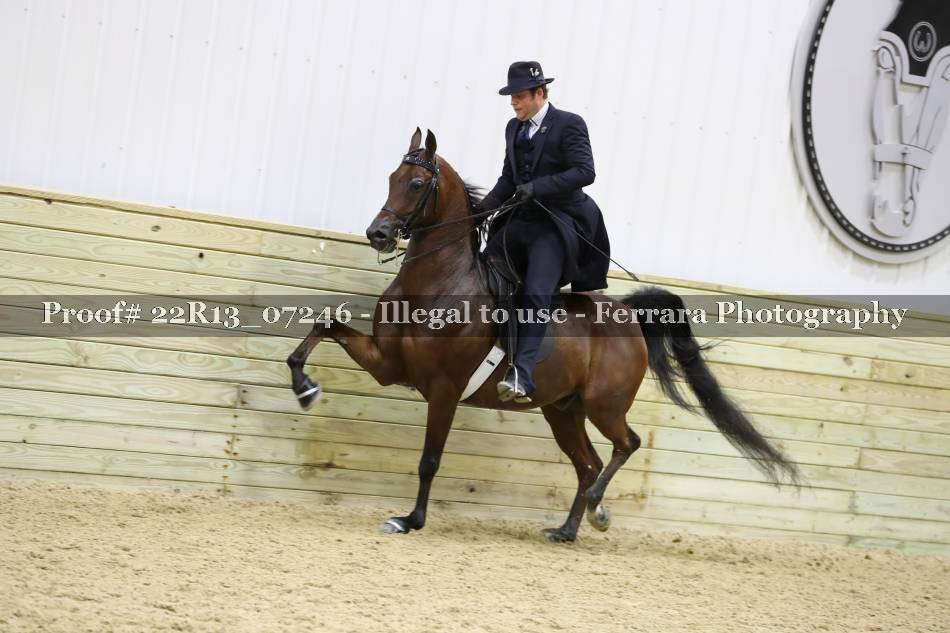 Proof 22R13_07246