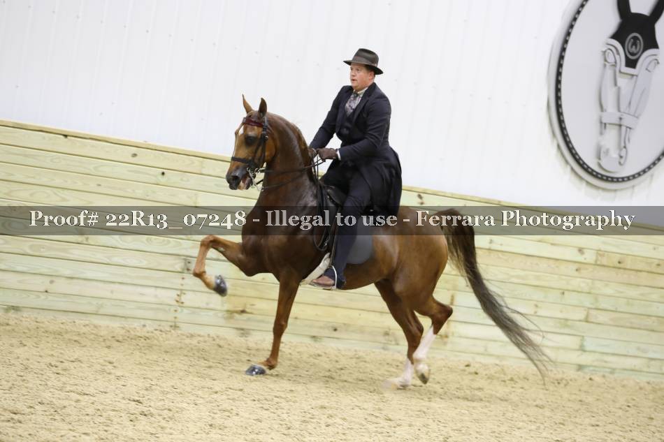 Proof 22R13_07248