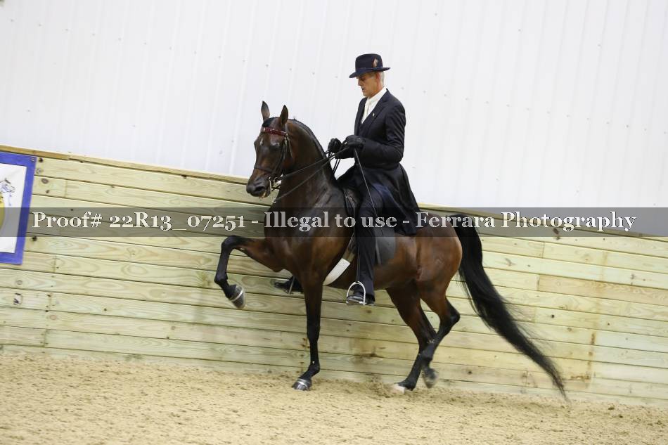 Proof 22R13_07251