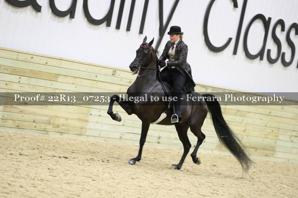 Proof 22R13_07253