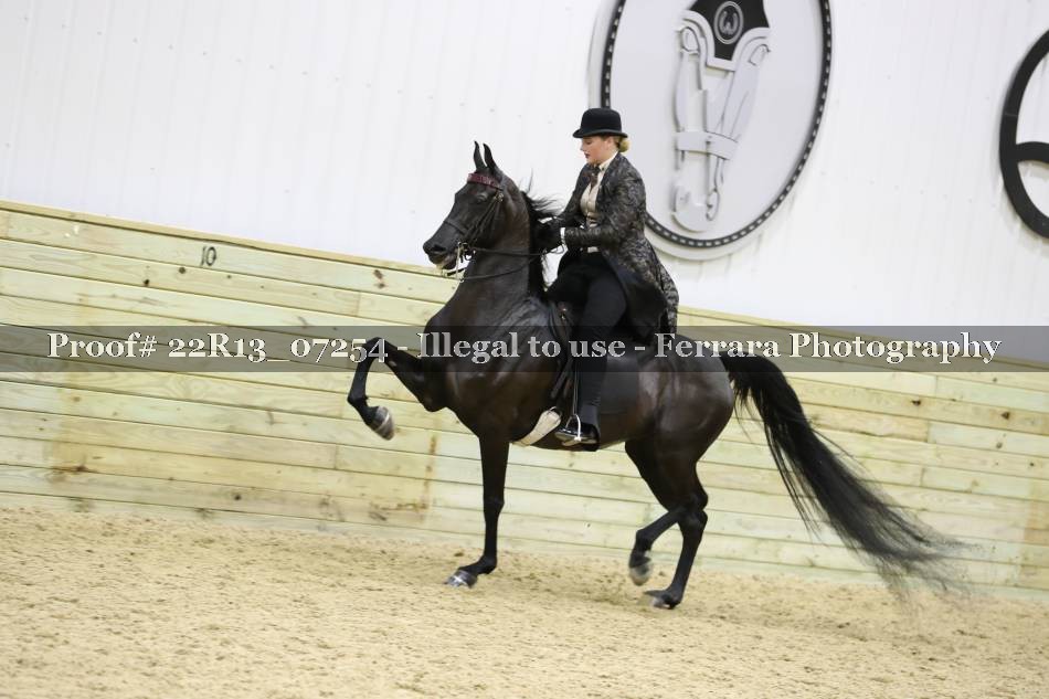 Proof 22R13_07254