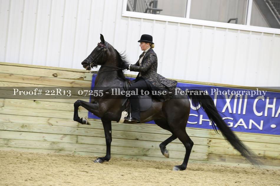 Proof 22R13_07255
