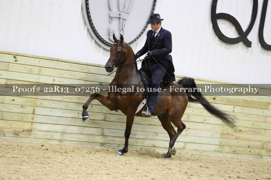 Proof 22R13_07256