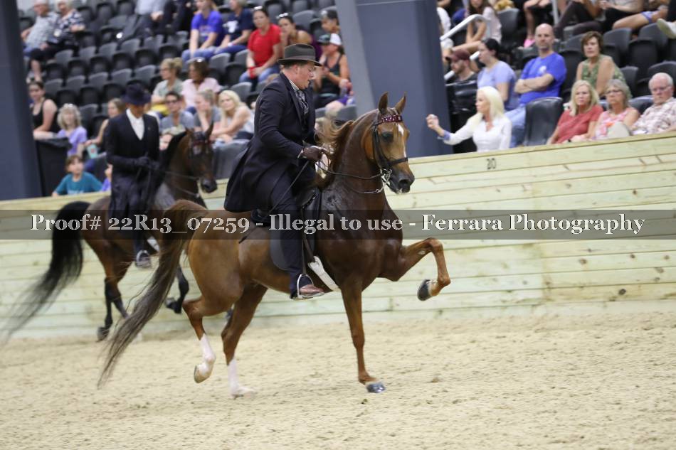 Proof 22R13_07259