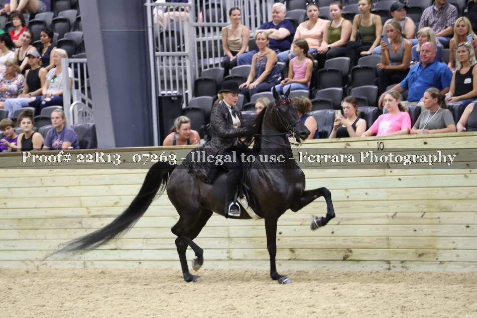 Proof 22R13_07263