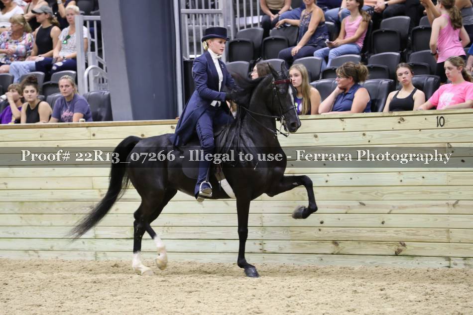 Proof 22R13_07266