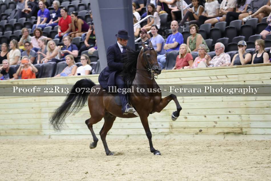 Proof 22R13_07267