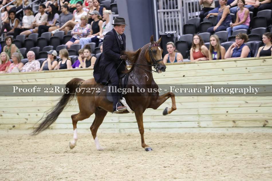 Proof 22R13_07272